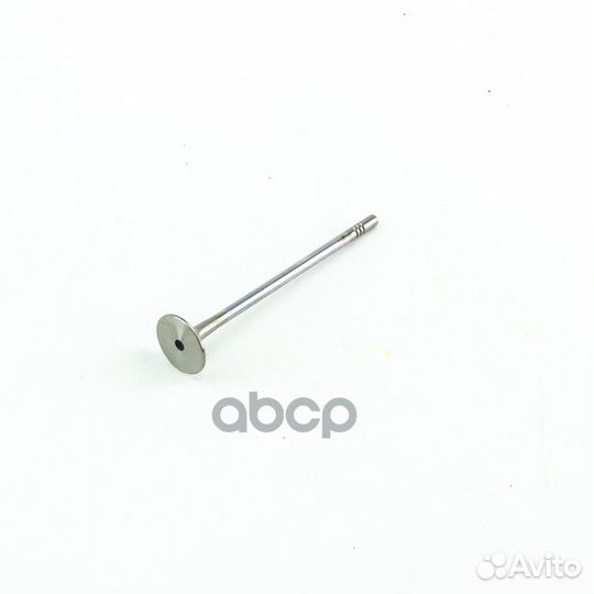 Клапан выпускной AW0760300008 dominant