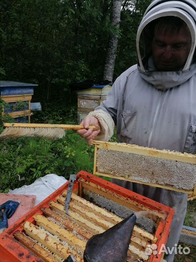 Пчеловодство