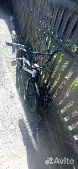 Bmx tech team grasshopper