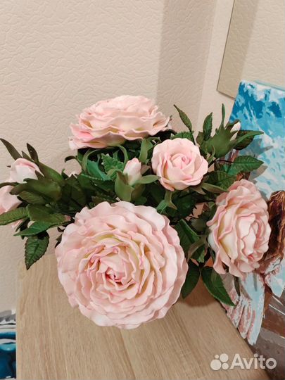 Роза любимая