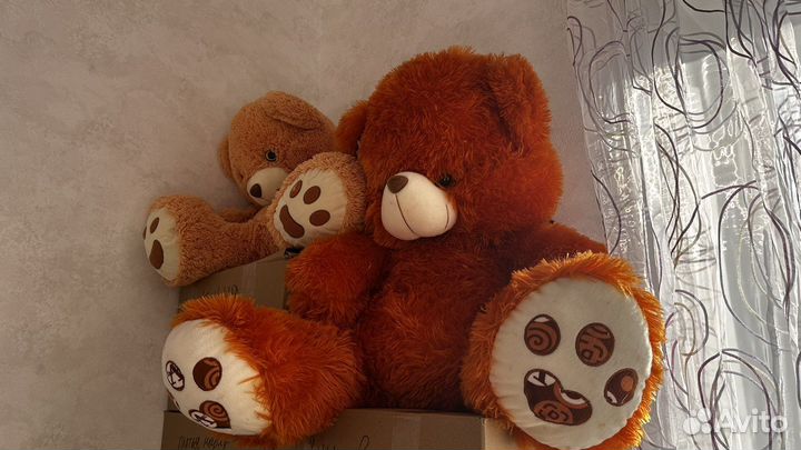 Плюшевые медведи