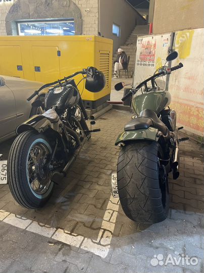 Harley Davidson softail