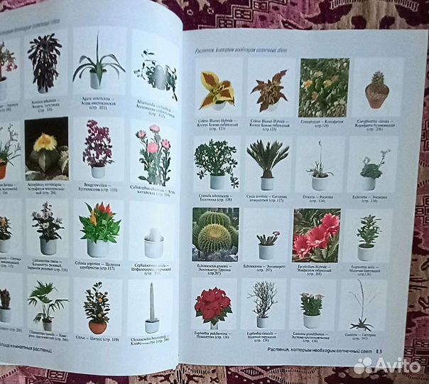 Книги на каждый день