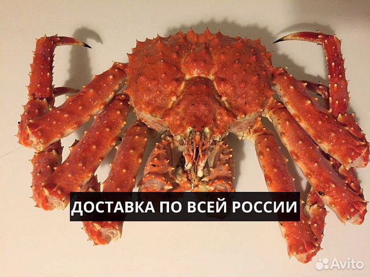 Краб Камчатский