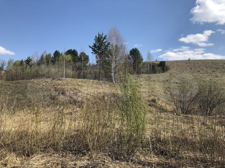 Участок 24 га (СНТ, ДНП)