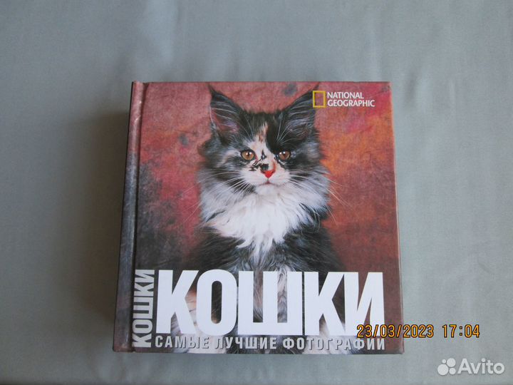 Книги о кошках