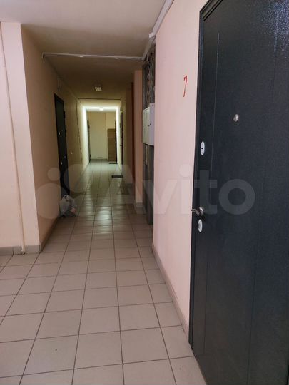 2-к. квартира, 53,9 м², 7/9 эт.