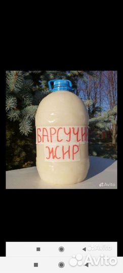 Жир натуральный барсука