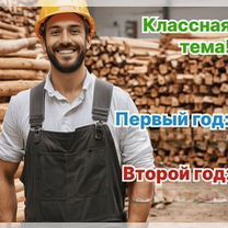 Агентство по деревообработке в городе, Пхаджу