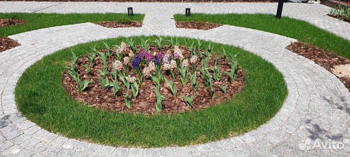 Мульча сосновая кора