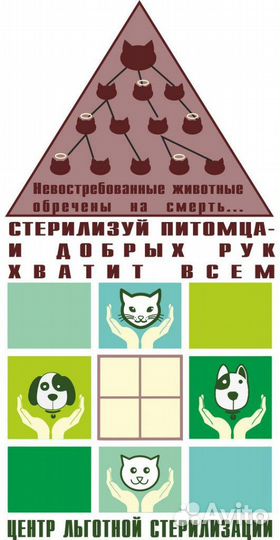 Льготная Стерилизация Животных