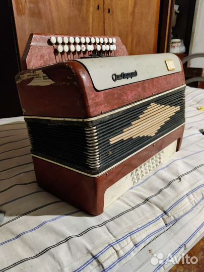 Баян советский