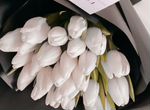 Тюльпаны белые крупные 100