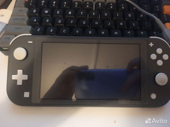 Nintendo switch lite прошитая 288gb