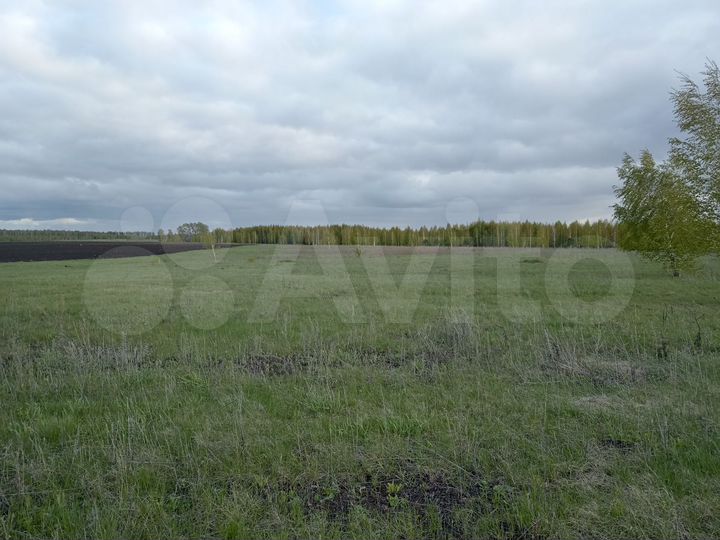 Участок 5 га (СНТ, ДНП)
