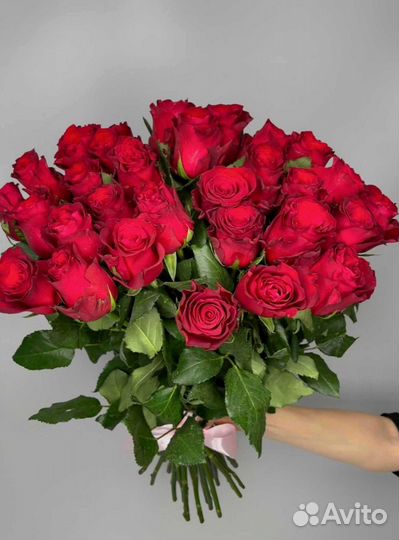 Роза 60см с доставкой. Букет роз с доставкой