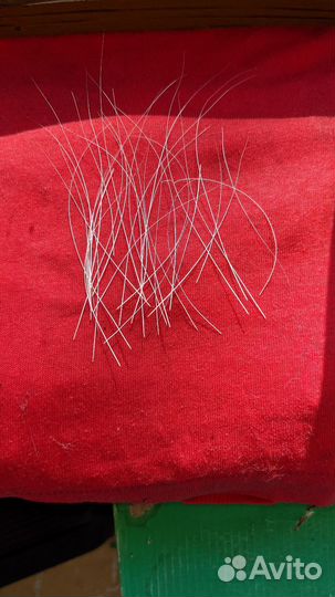 Кошачьи усы