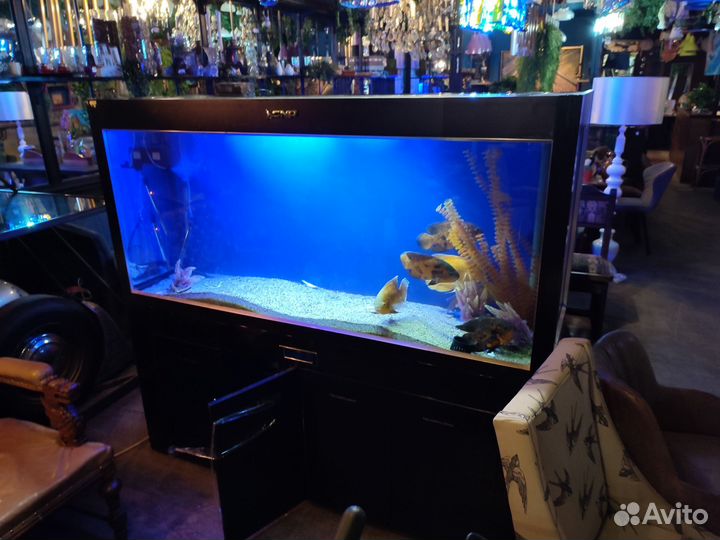 Аквариум. Аквариум для рыб и морепродуктов