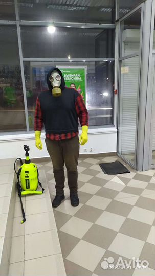 Уничтожение насекомых, запахов,плесени, борщевика