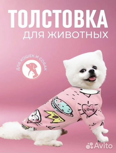 Толстовка для животных