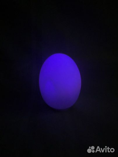 Ночники яйца + зарядка
