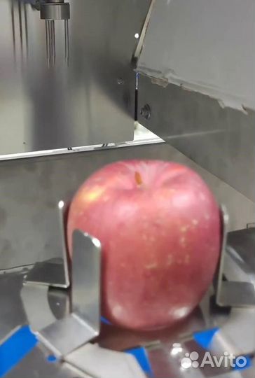 Нежная очистка овощей и фруктов Vega Apl Pel Н1800