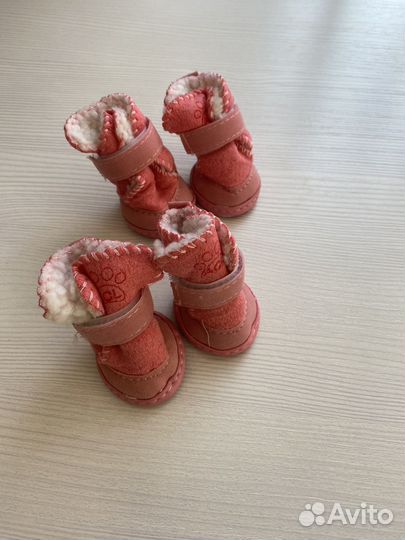 Одежда для собак