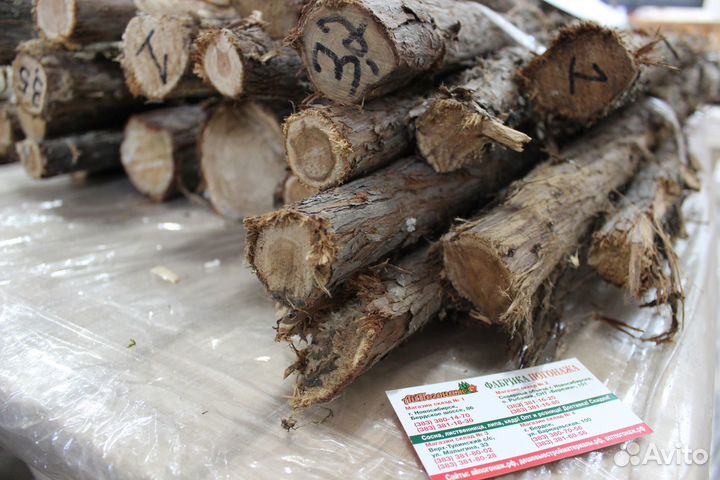 Можжевельник стволы для спилов за 1 кг
