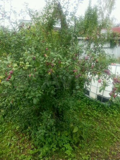 Дача 36 м² на участке 6 сот.