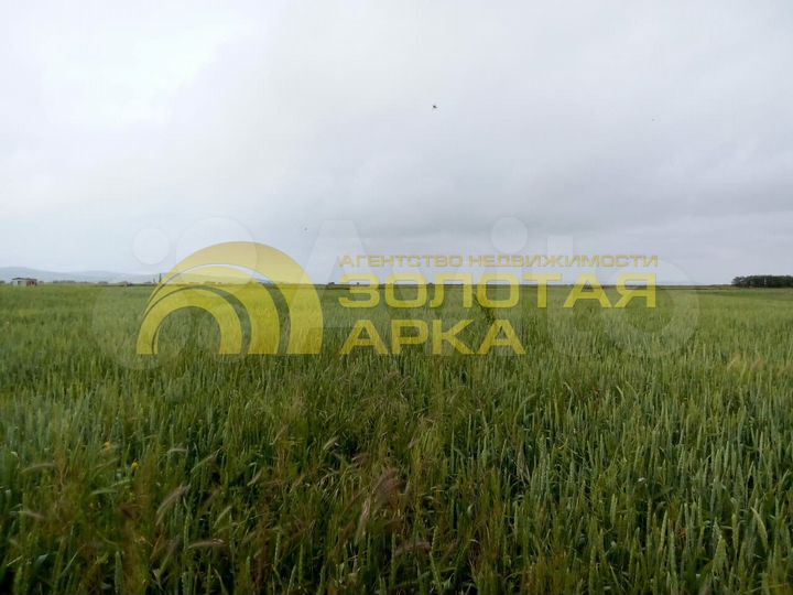 Участок 1,87 га (ИЖС)