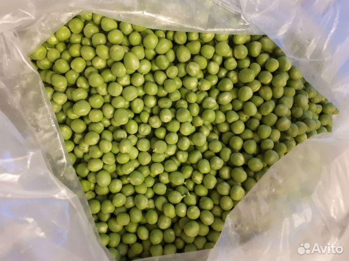 Горох. Семена
