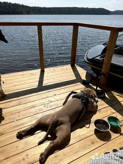 Плот Дом Палатка