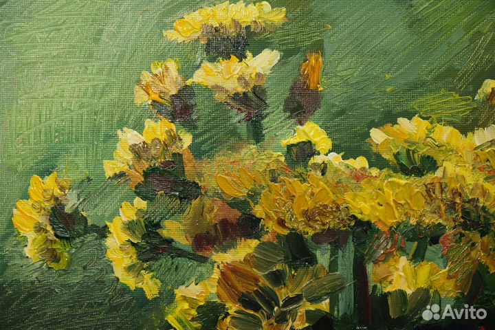 Одуванчики