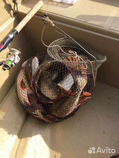 Организация рыбалки на хищника с егерем