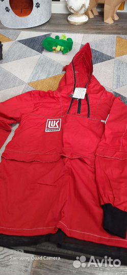 Энцефалитка