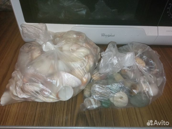 Морские ракушки и камни