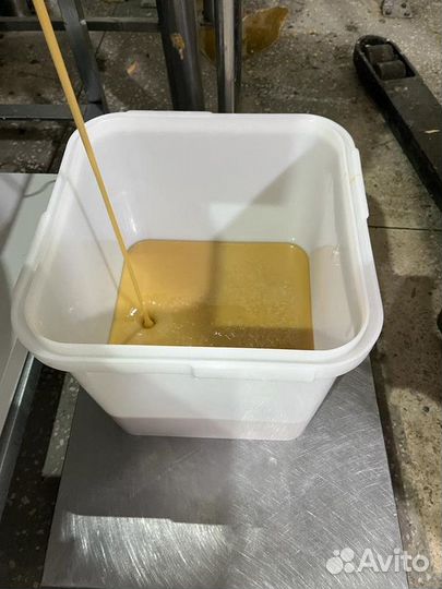 Разнотравье свежий мед оптом опт