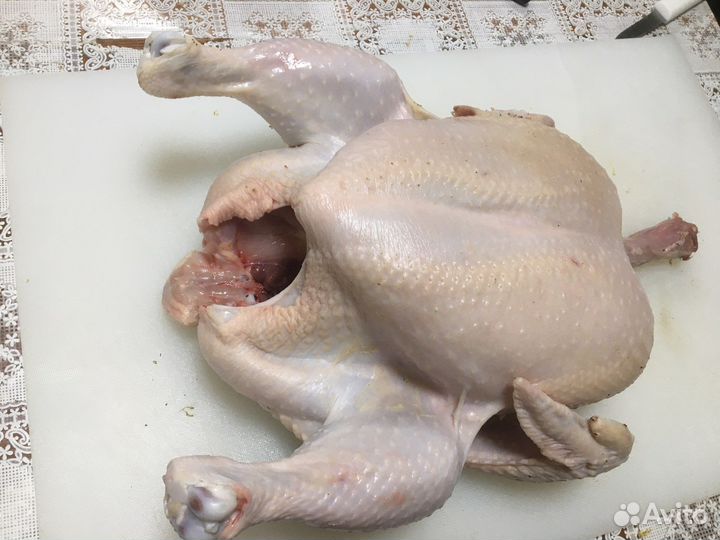 Мясо домашней птицы