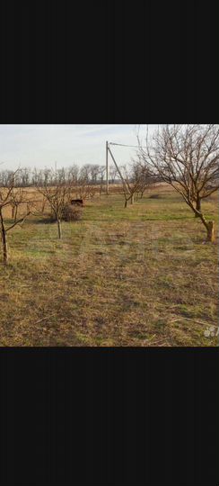 Участок 15 сот. (ИЖС)