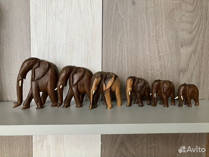 Слоники, семья Африка