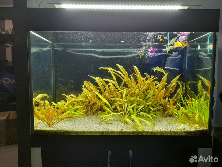 Аквариум