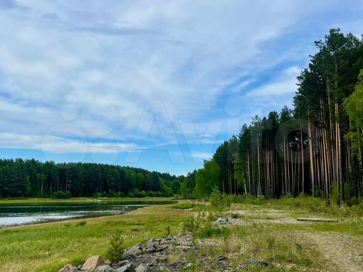 Участок 20 сот. (СНТ, ДНП)