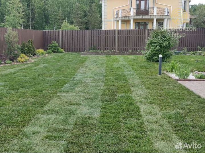 Полевой газон 