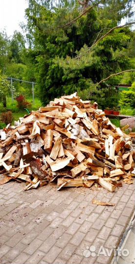 Дрова Береза в наличии в Выборге