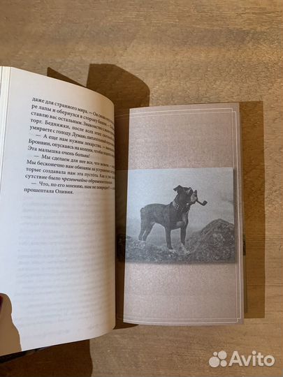 Книга дом странных детей