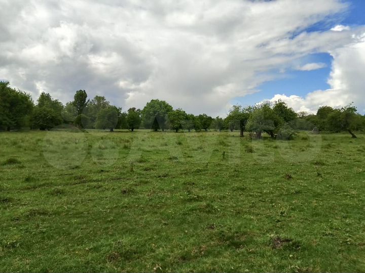 Участок 1,79 га (СНТ, ДНП)