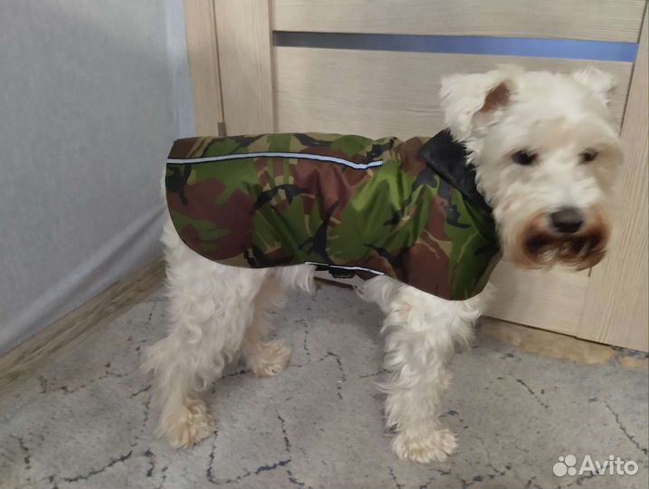 Попона на среднюю собаку