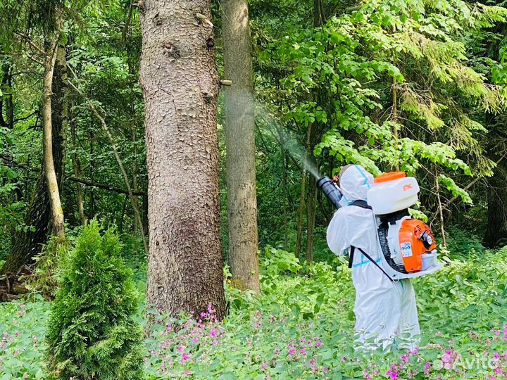 Обработка от клещей