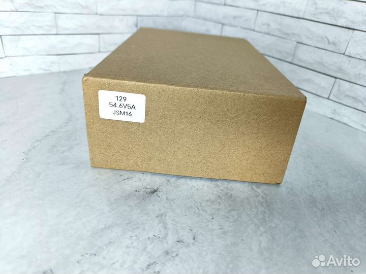 Быстрое Зарядное Устройство Kugoo M4 Pro, 54,6V 5А