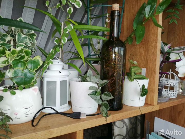 Интерьерная винная бутылка светильник